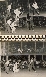 Seymour Girls Softball Circa 1951 